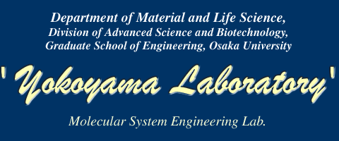 Yokoyama_lab